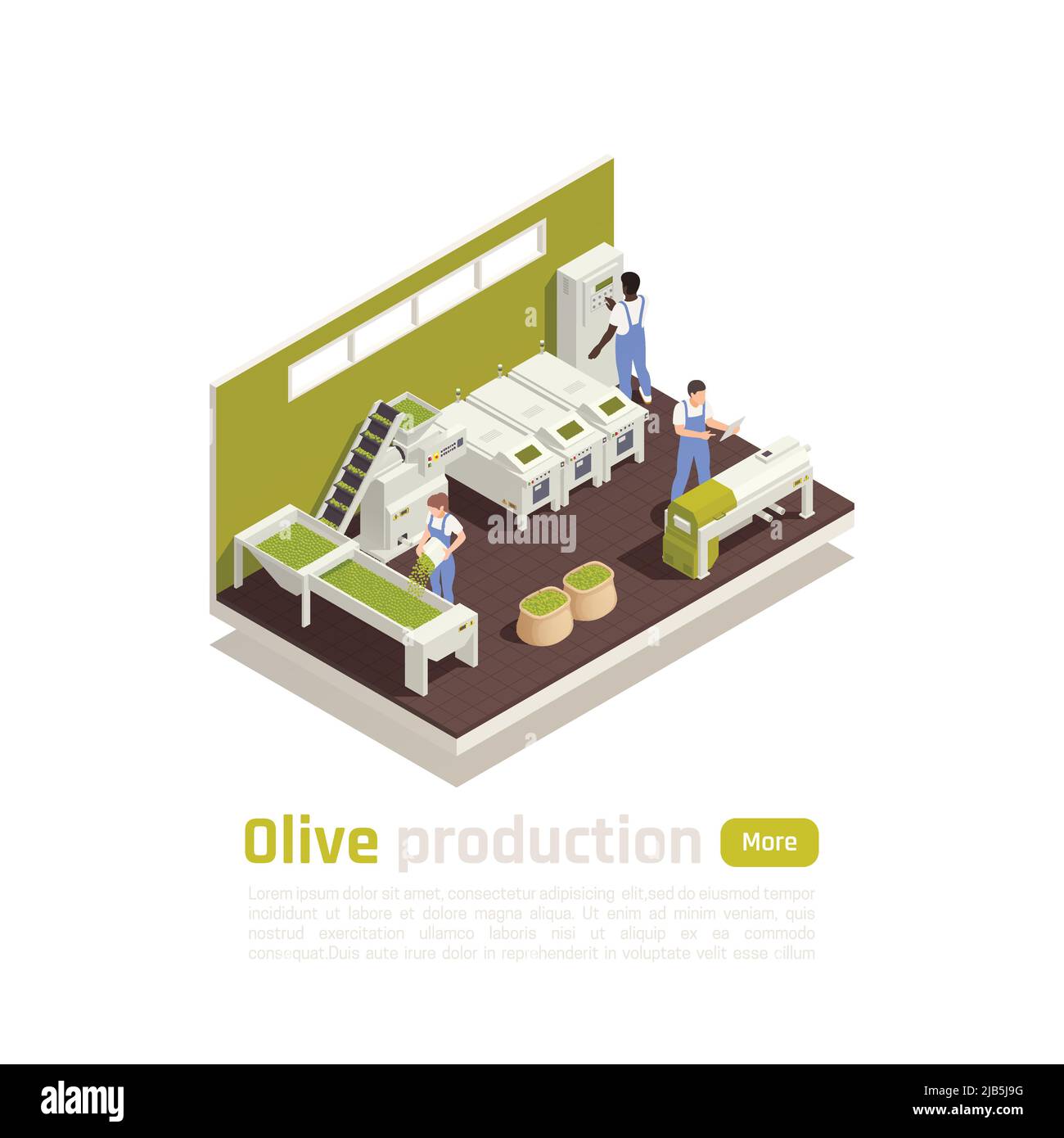 Processo di produzione dell'olio d'oliva composizione isometrica con selezione automatizzata della frutta raccolta e illustrazione vettoriale degli operatori delle linee di impasto Illustrazione Vettoriale