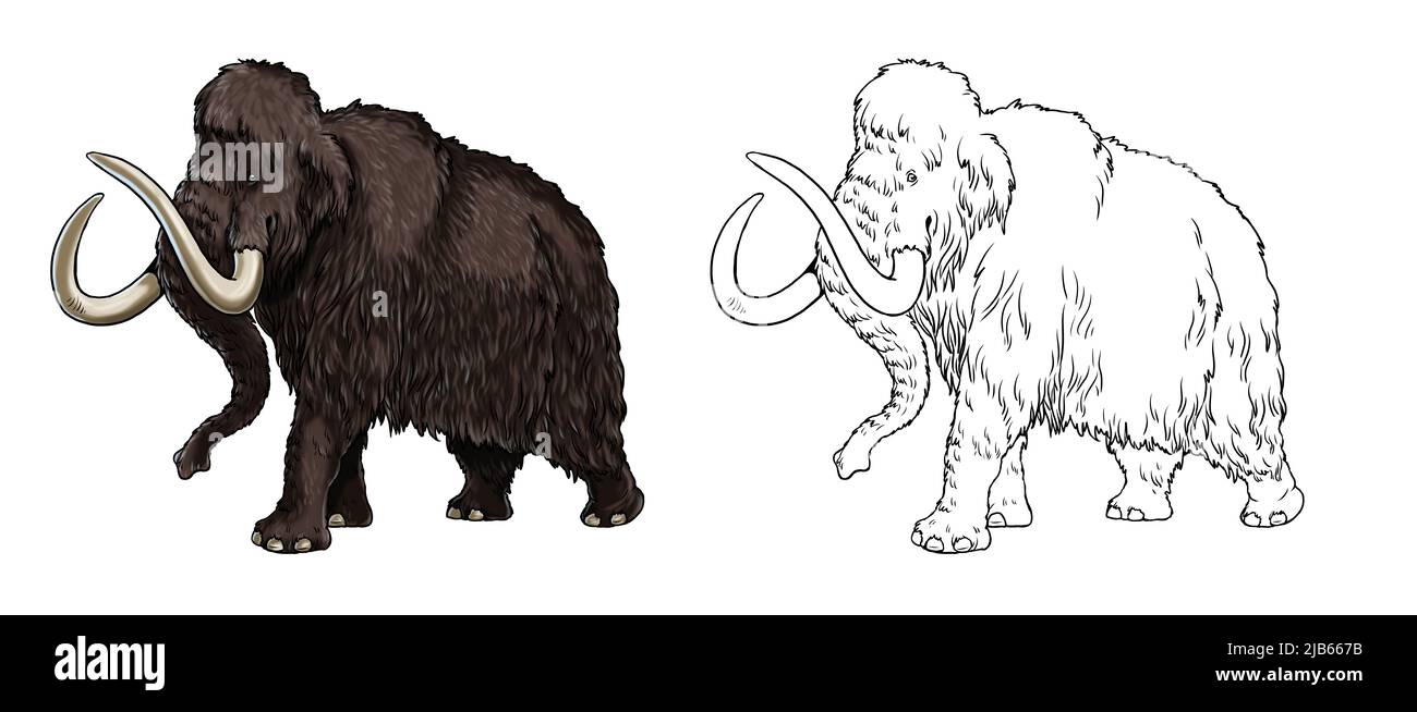 Animali preistorici. Illustrazione con elefante estinto - mammoth. Disegno per libro da colorare. Foto Stock