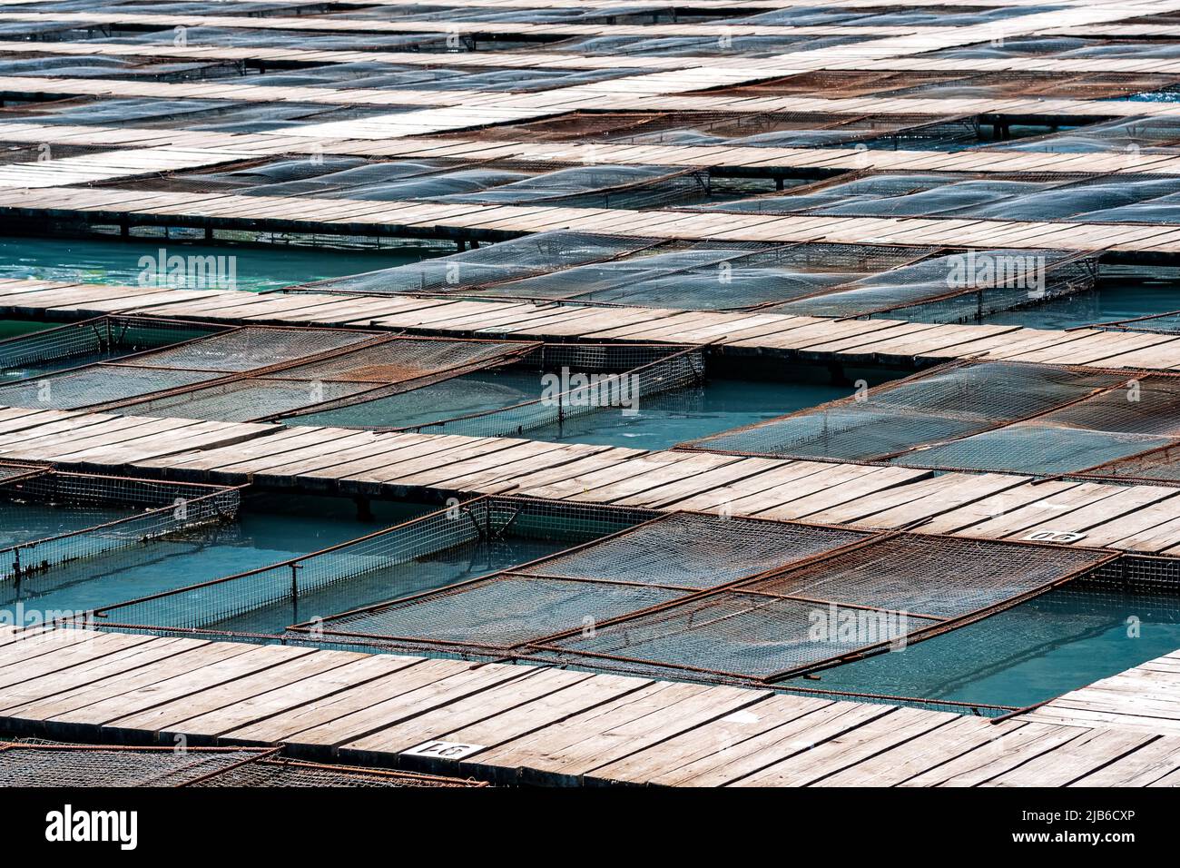 impianti di acquacoltura con gabbie di pesci in un allevamento di pesci Foto Stock
