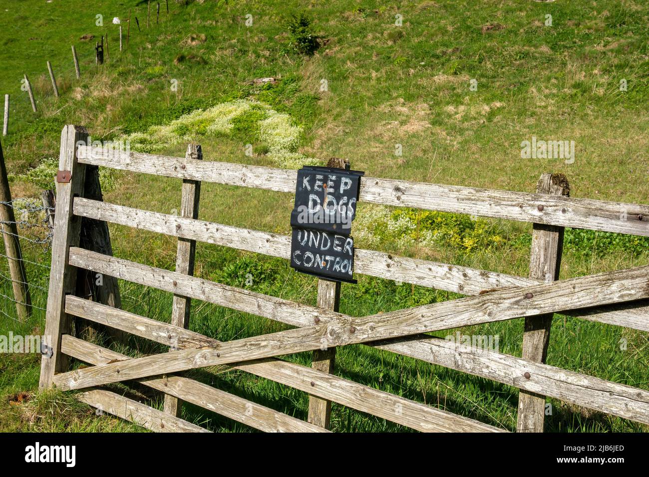 Cartelli rurali su un cancello di legno un avviso educato degli agricoltori per i proprietari di cani di tenere sotto controllo gli animali domestici per proteggere il bestiame Foto Stock