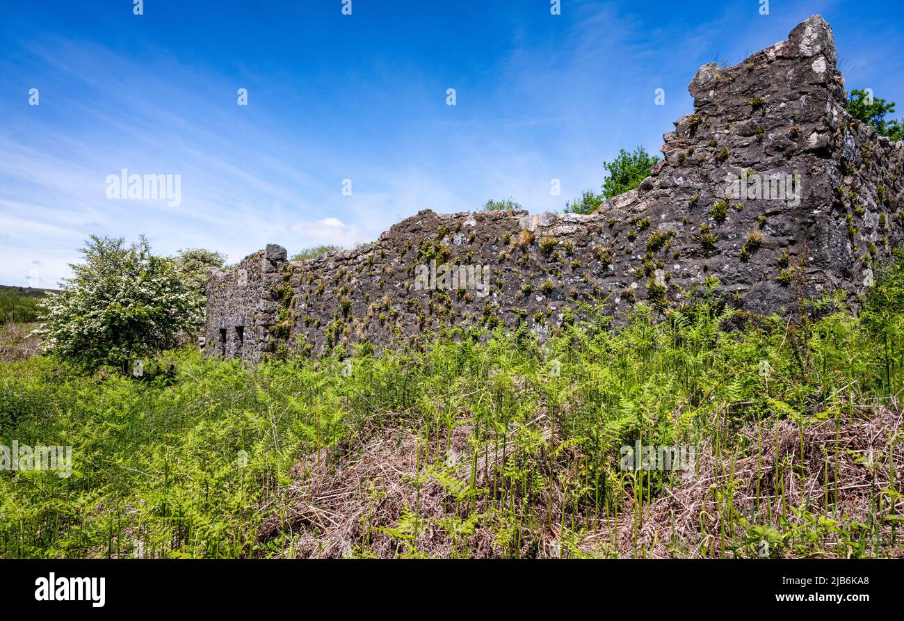 Rovine della 'dinah's House' presso l'abbandonata miniera di stagno Golden Dagger, Dartmoor, Devon, Regno Unito. Foto Stock