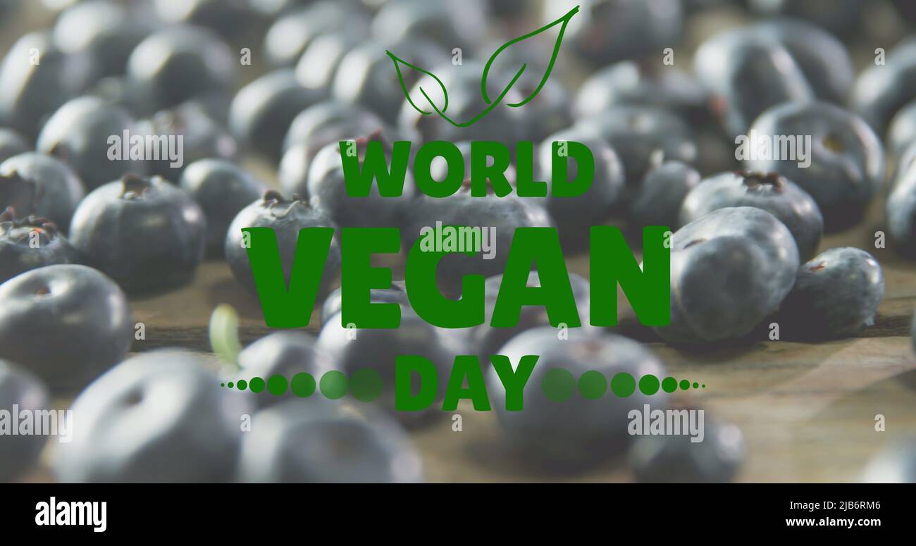 Immagine del testo del giorno vegano mondiale sui mirtilli freschi Foto Stock