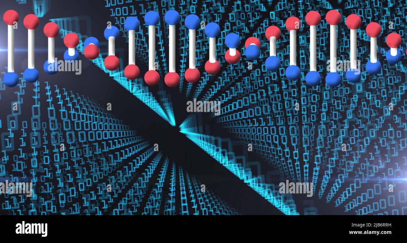 Immagine del filamento di dna che gira su codice binario Foto Stock