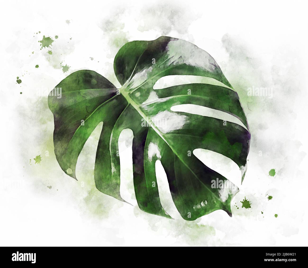 Foglia monstera acquerello. Opere d'arte di piante verdi esotiche. Illustrazione botanica realistica in tecnica astratta espressiva. Poster pronto per la stampa a casa Foto Stock