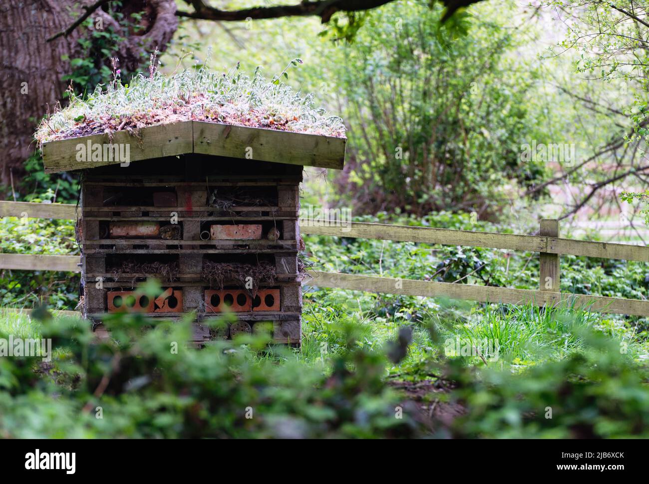 il tetto di un bug capanna / bug hotel Foto Stock