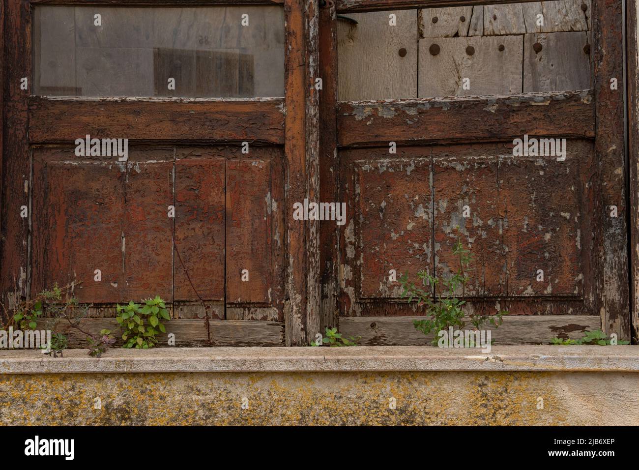 Primo piano di una porta in legno e vetro di una casa, in stato di abbandono e rovina. Case abbandonate nelle zone rurali della Spagna Foto Stock