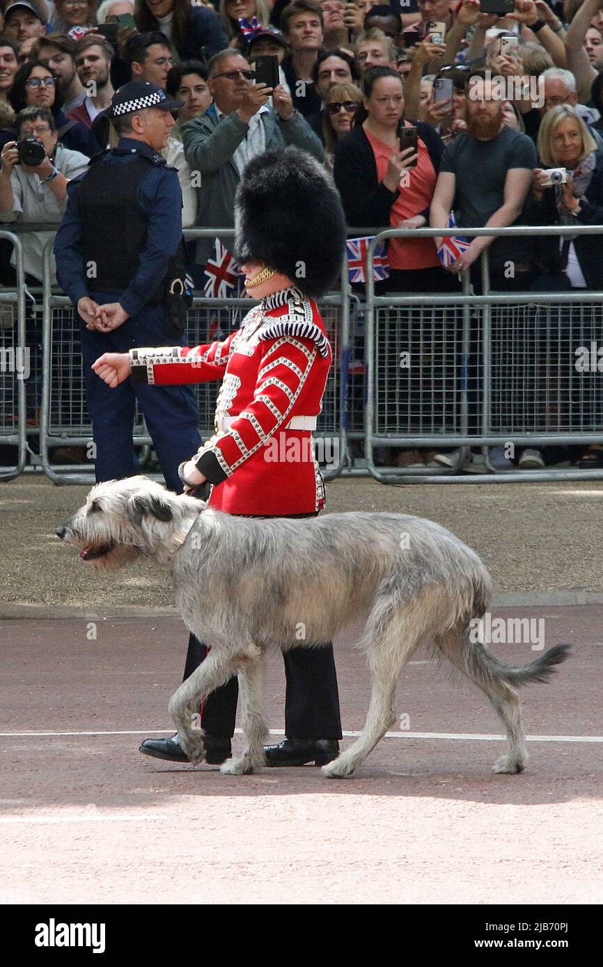 Seamus il wolfhound irlandese è la mascotte regimentale ufficiale delle Guardie irlandesi. Entrambi erano sul Mall come parte del Platinum Jubilee Pageant 2022 a Londra. Foto Stock