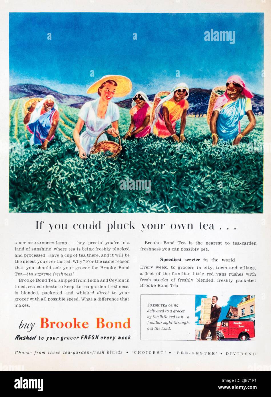 Una rivista pubblicitaria del 1950s per il tè Brooke Bond. Foto Stock