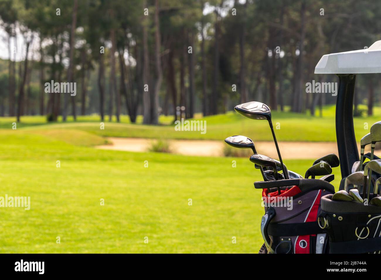 Set di club di golf in borse di golf sul retro di un golf cart su un bel campo da golf Foto Stock