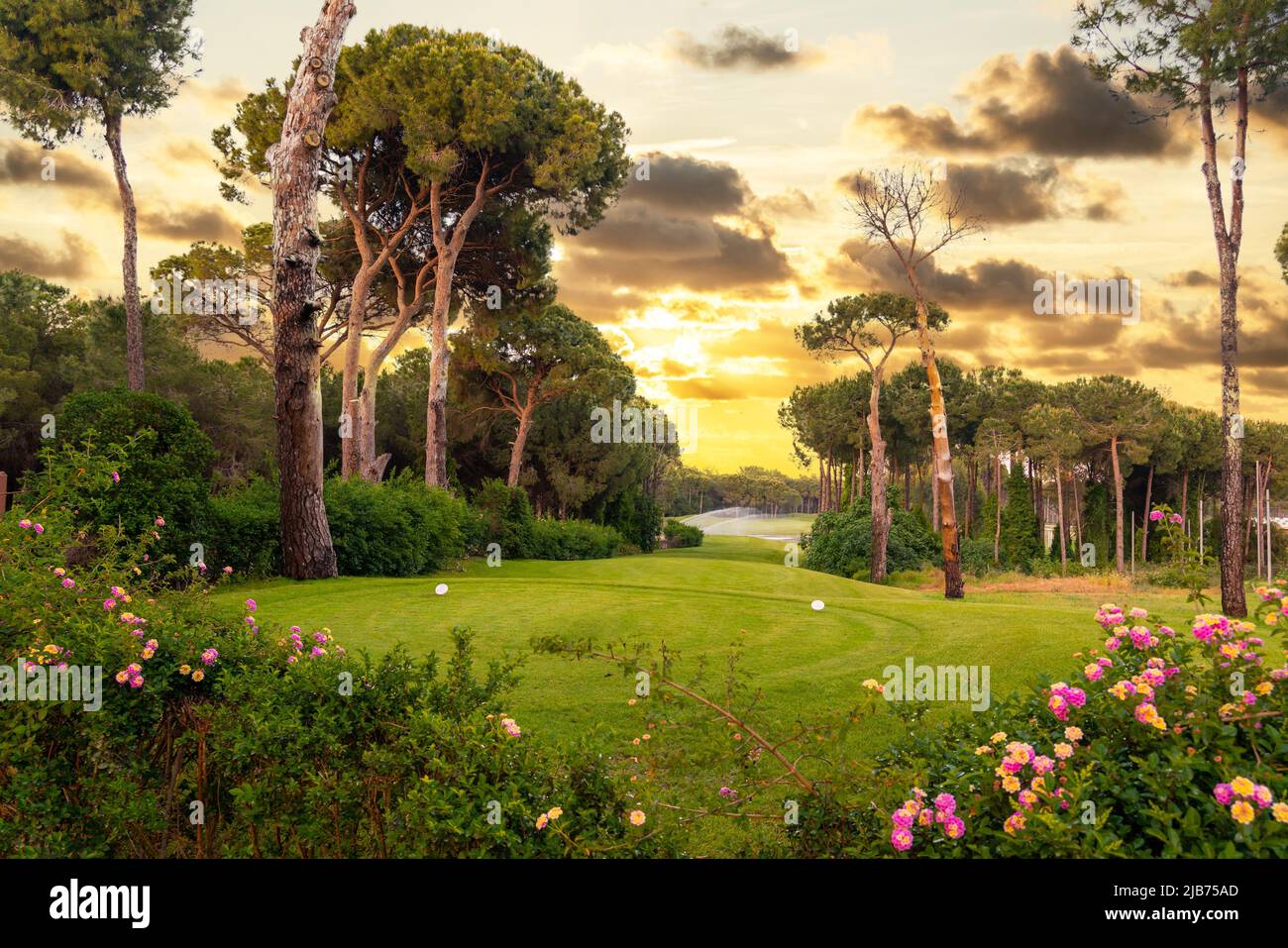Area tee box al campo da golf al tramonto con un bel cielo. Vista panoramica panoramica sul campo da golf. Campo da golf con pini e fiori Foto Stock