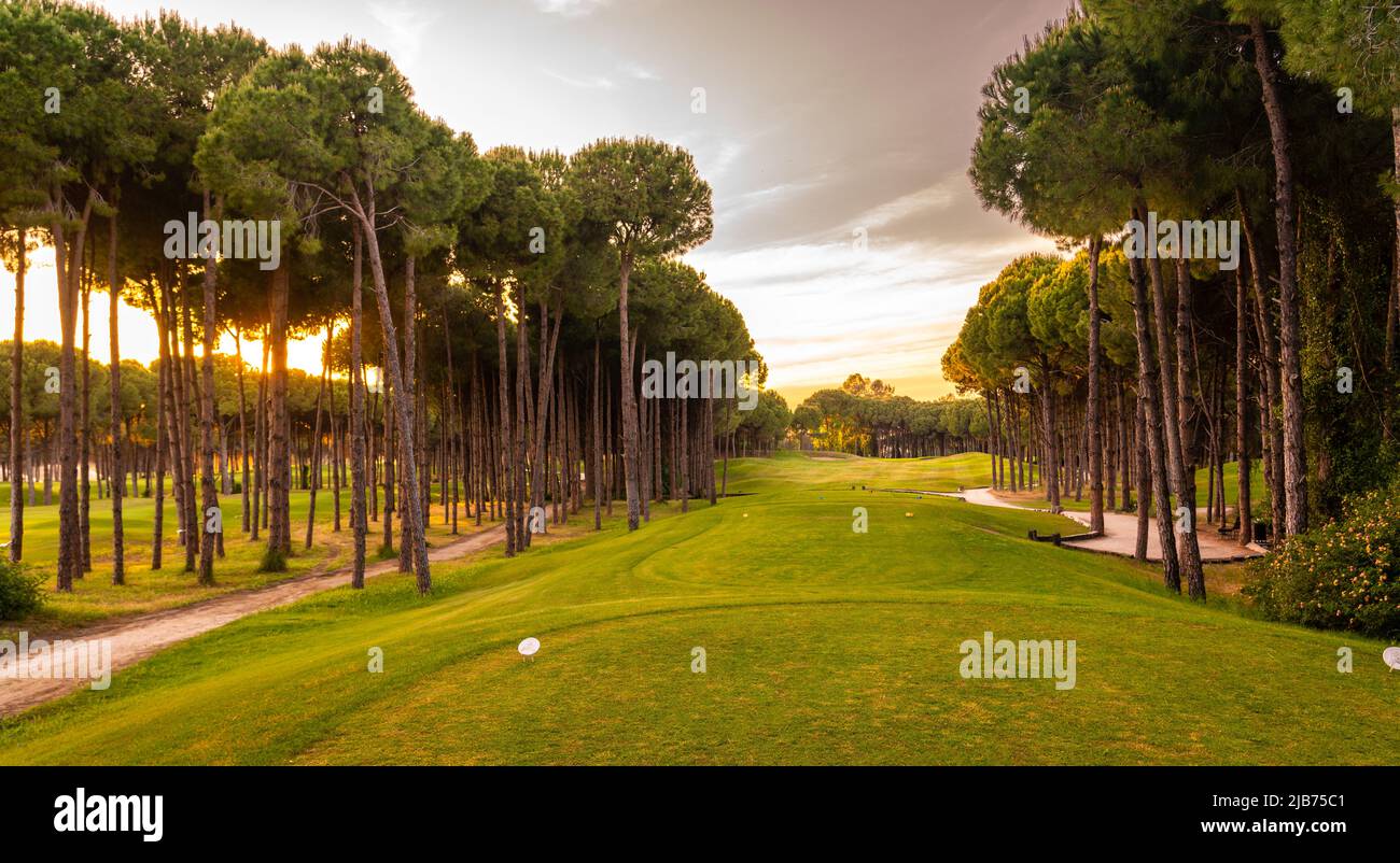 Area tee box al campo da golf al tramonto con un bel cielo. Vista panoramica panoramica sul campo da golf. Campo da golf con pini Foto Stock
