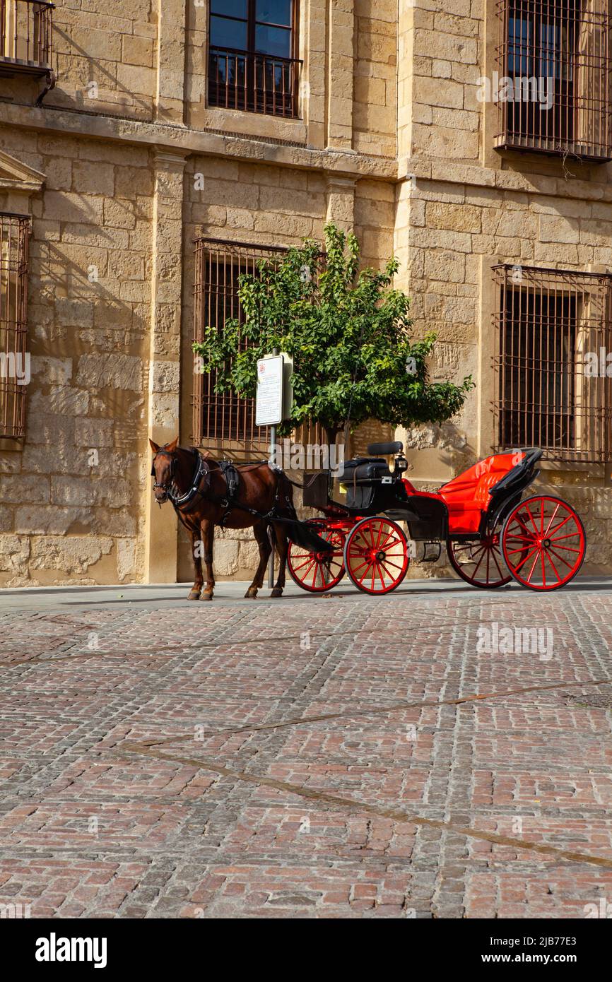 Carrozza di cavalli rossi parcheggiata accanto alla moschea di Cordoba, Andalusia, Spagna. Giro a cavallo e in slitta su Cordova Street. Foto Stock
