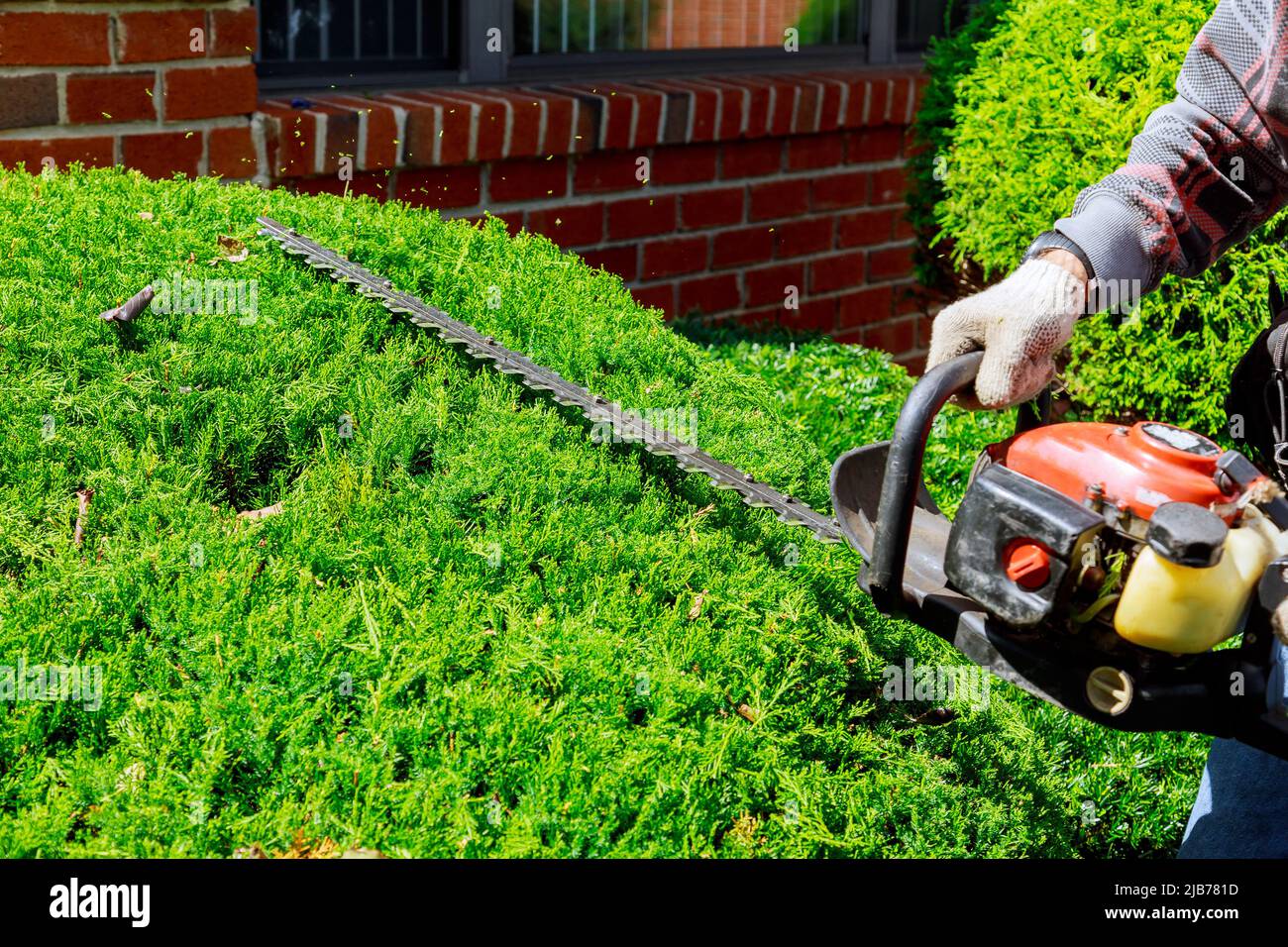 Una tagliasiepi da uomo con rifinitrice Foto Stock
