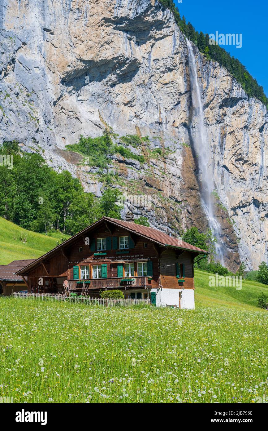 Tipica casa di montagna svizzera con cascata Staubbach, Lauterbrunnen, Cantone di Berna, Svizzera Foto Stock