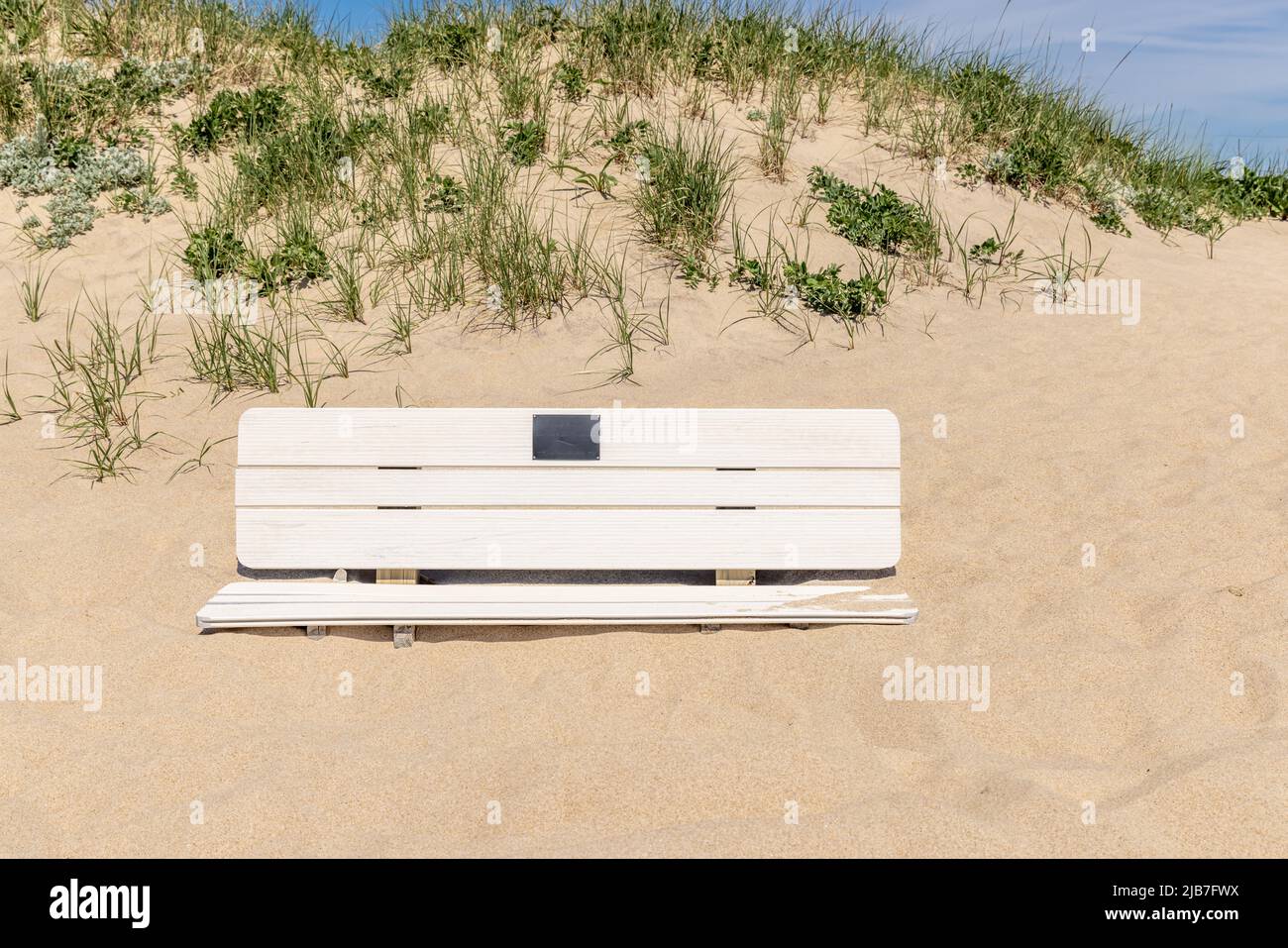 Panca di parco sepolto in sabbia ad una spiaggia di Amagansett Foto Stock