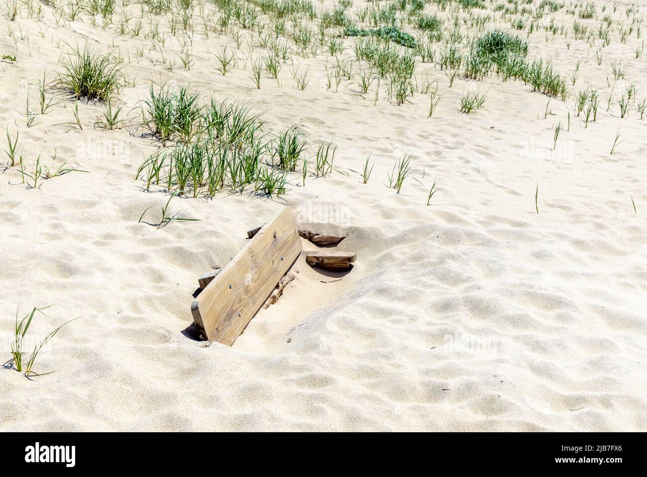Panca di parco sepolto in sabbia ad una spiaggia di Amagansett Foto Stock