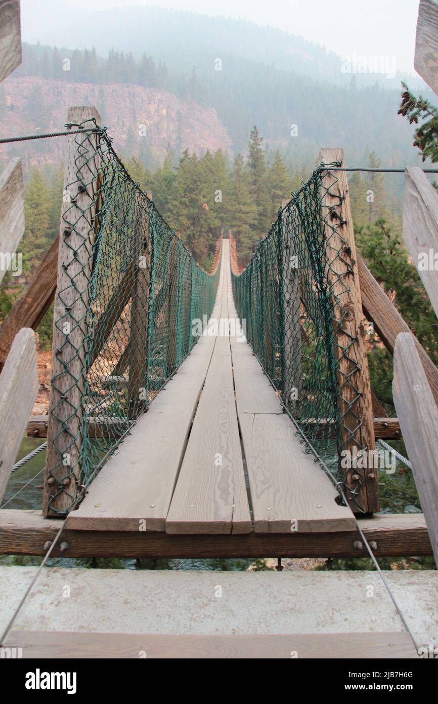 Ponte escursionistico a file singolo nel nord degli Stati Uniti Foto Stock