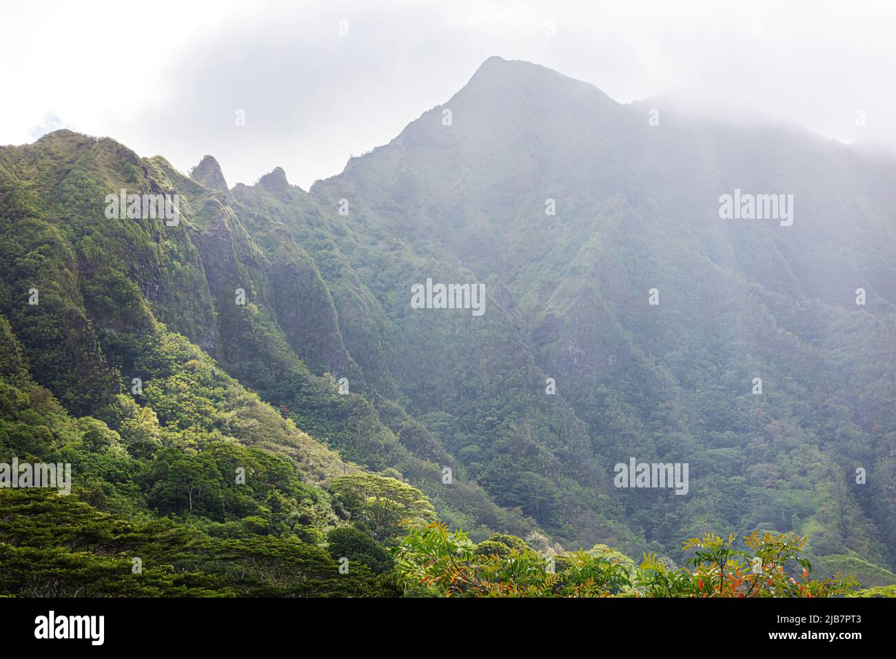 Montagne panoramiche di Oahu, Hawaii Foto Stock