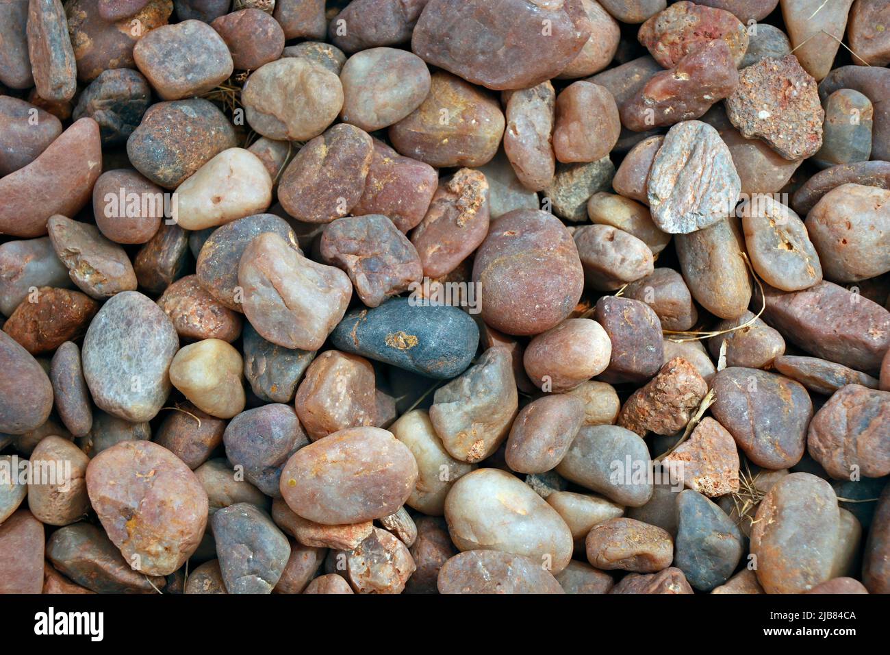 ciottoli marroni naturali per decorazione di terra e giardino Foto Stock