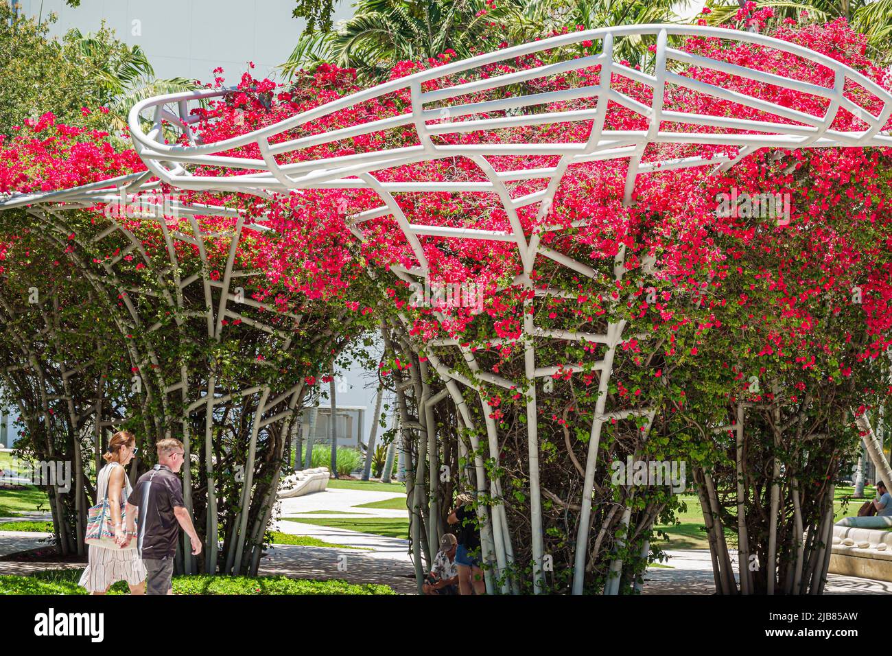 Miami Beach Florida, Soundscape Park sculture in fiore bougainvillea fiorito Foto Stock