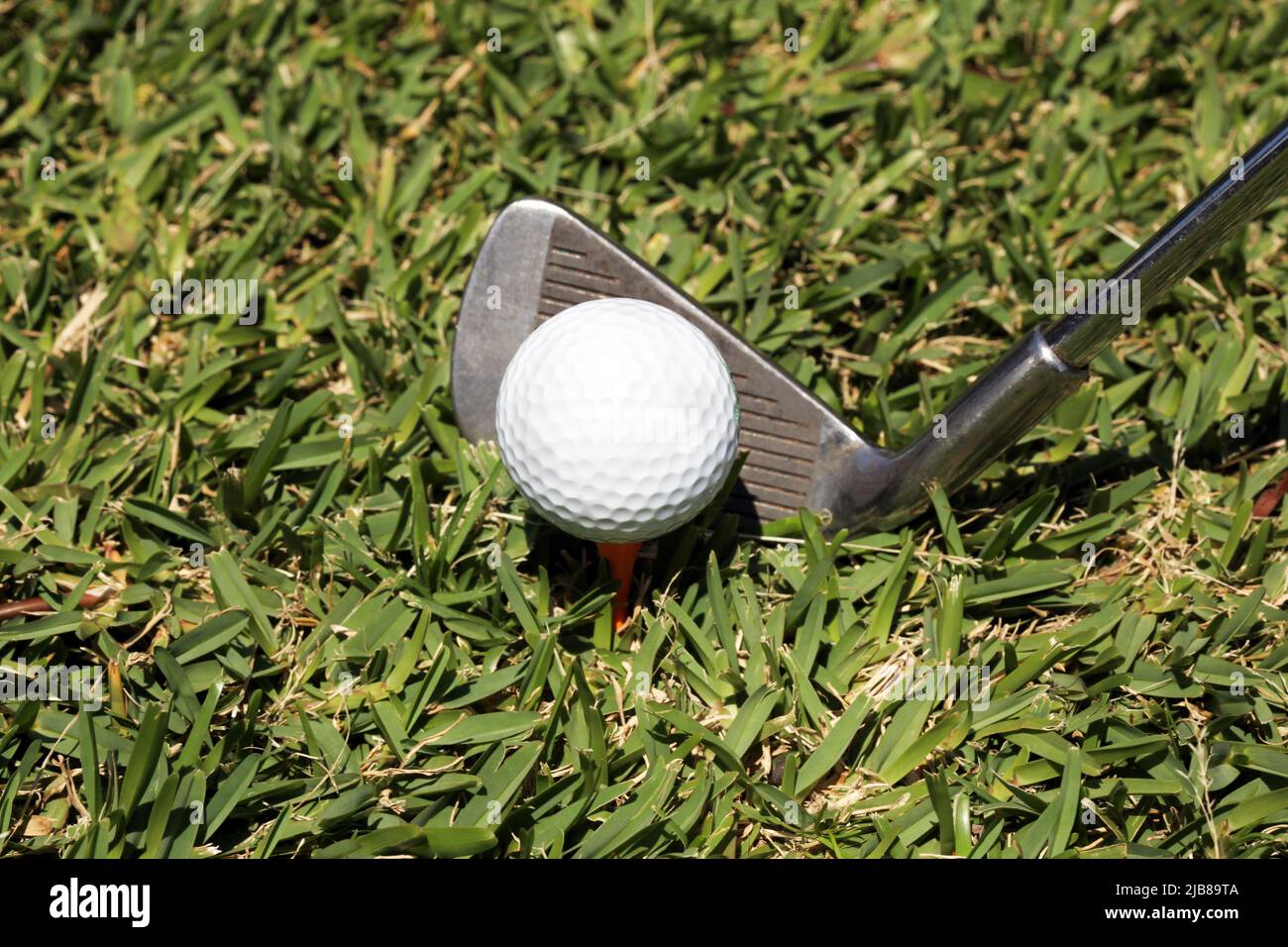 palla da golf su tee pronto per tee off Foto Stock