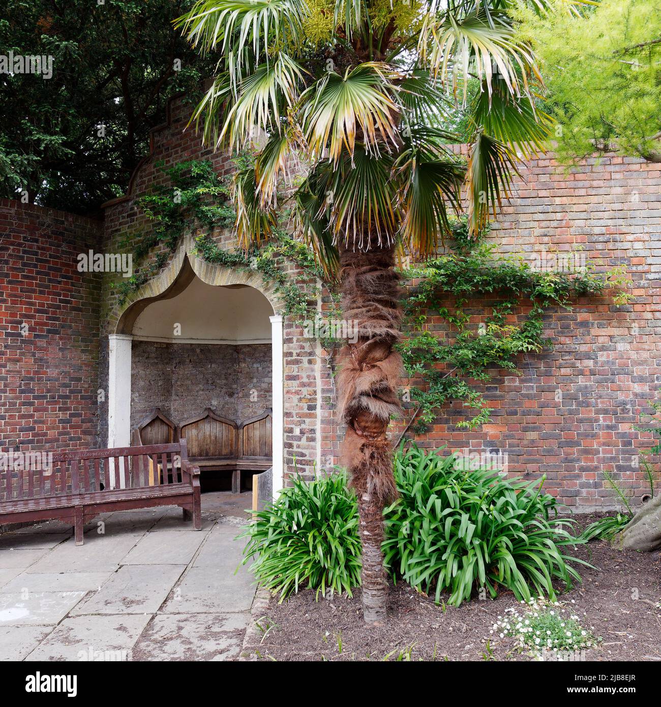 Londra, Greater London, Inghilterra, 28 2022 maggio: Albero di palma, panca e area salotto coperta ad arco nel Giardino Olandese di Holland Park. Foto Stock