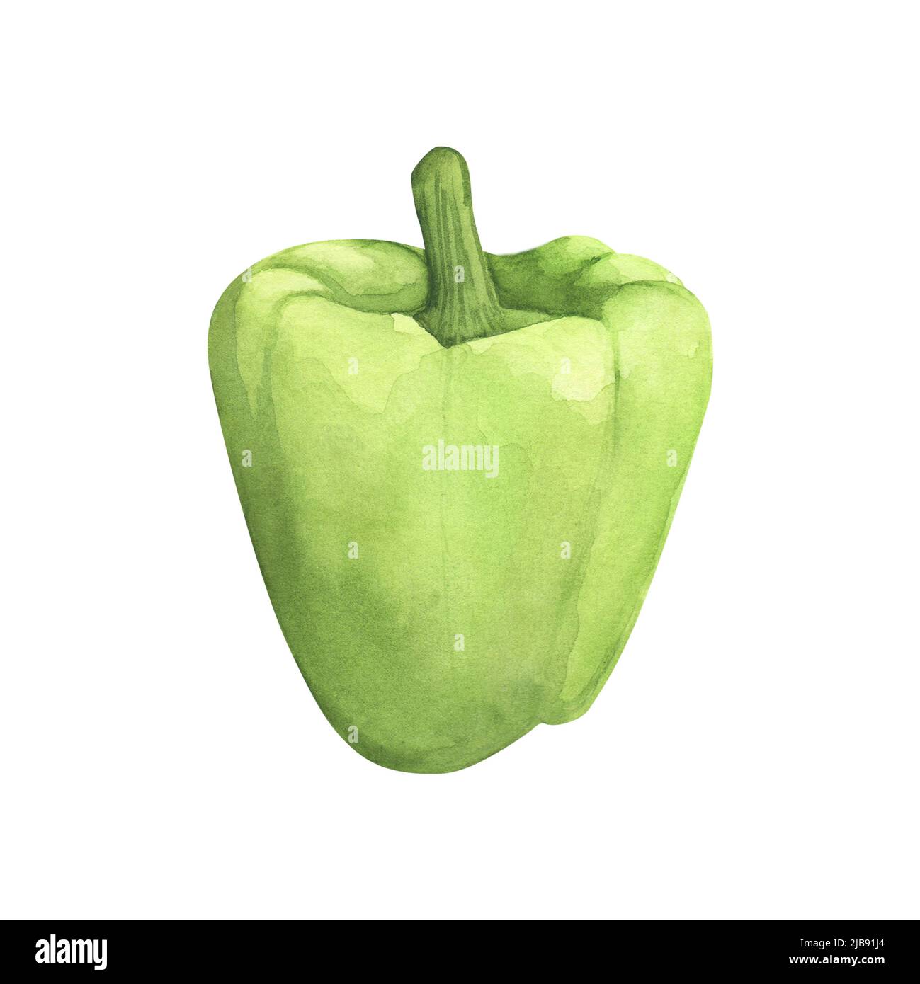 Peperone verde acquerello illustrazione fresco vegetabl paprika per la cottura isolato su sfondo bianco. Arte per design, tessuti, menu, poster Foto Stock