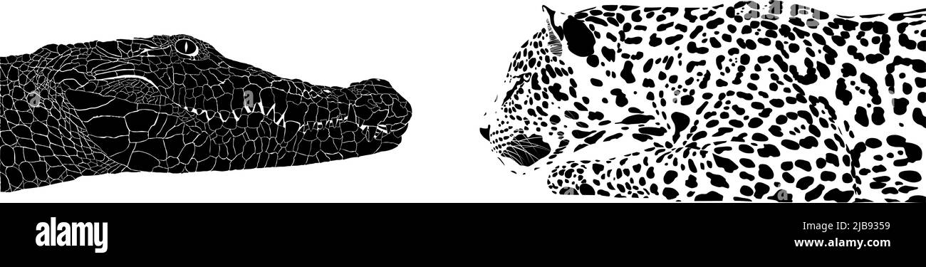 Coccodrillo contro Jaguar Illustrazione Vettoriale