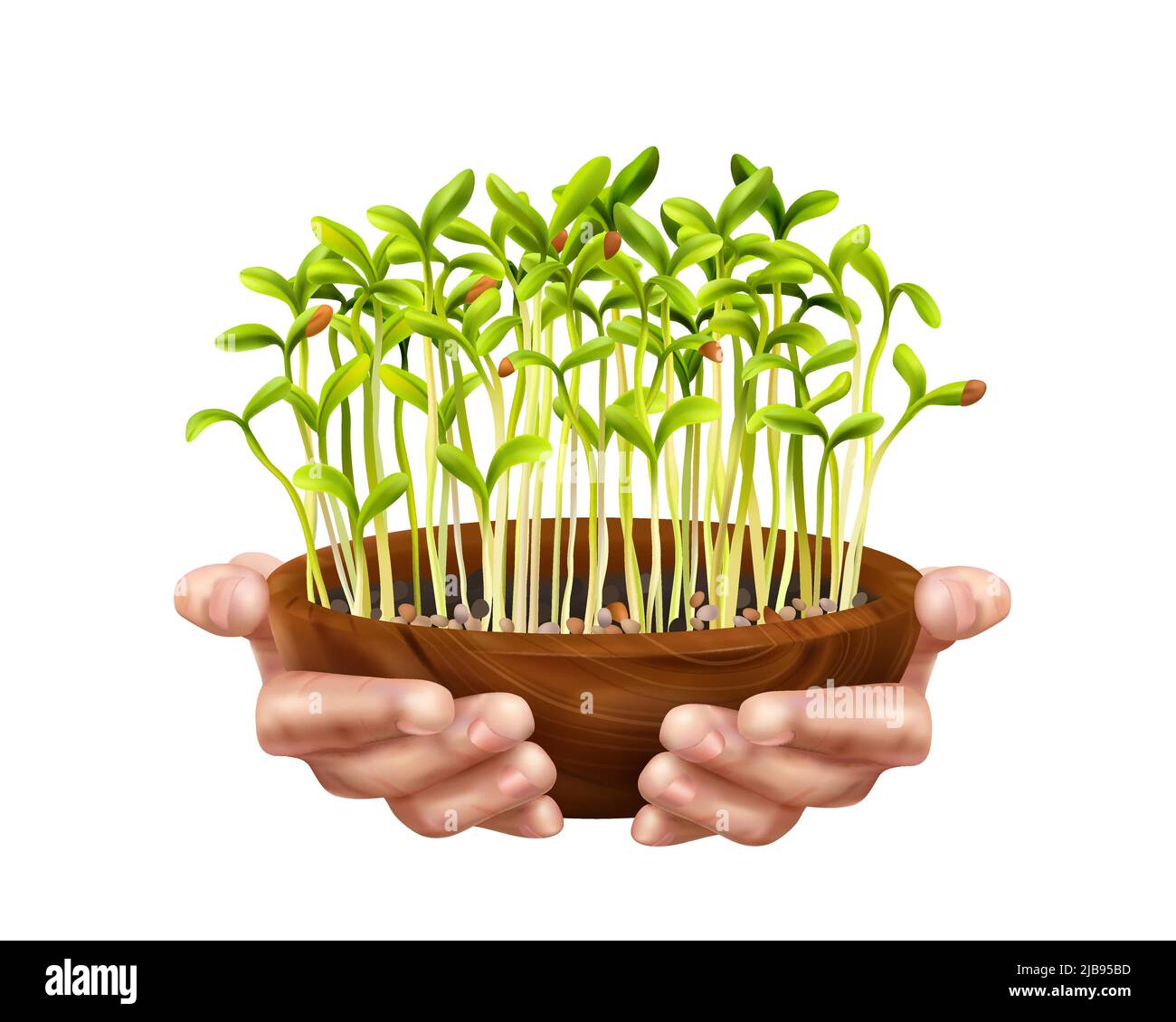 Nutrizione sana Microgreens concetto con i simboli biologici degli alimenti illustrazione vettoriale realistica Illustrazione Vettoriale