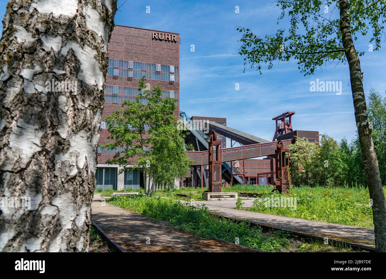 Patrimonio dell'umanità Zollverein Colliery, torre a doppio traliccio dell'albero XII, Essen, NRW, Germania, Foto Stock