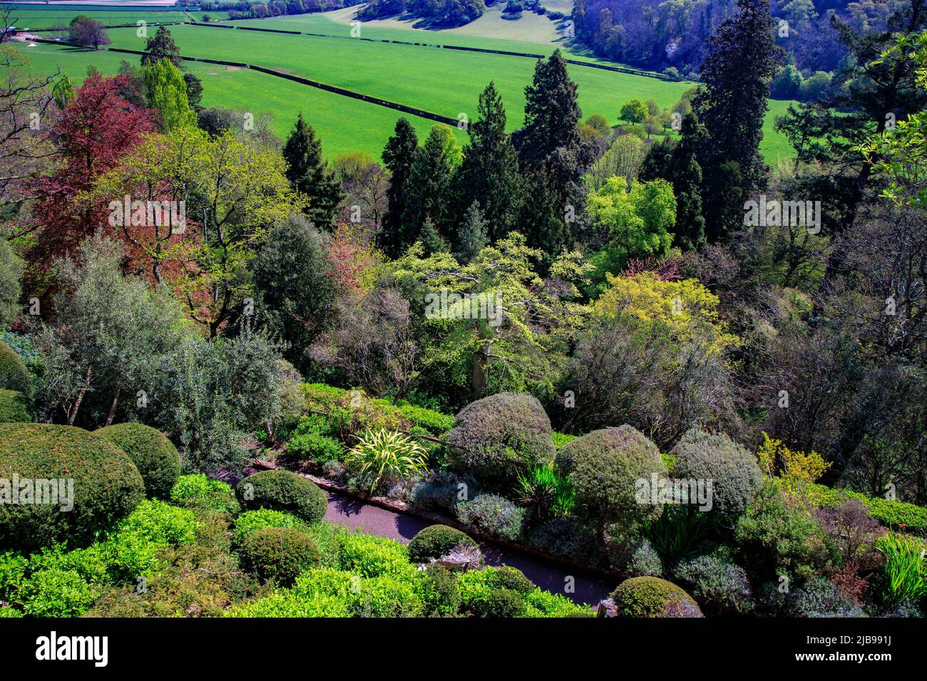 Una vista attraverso alcuni dei vari giardini subtropicali sulle pendici del tumulo su cui si trova il Castello di Dunster, Somerset, Inghilterra, Regno Unito Foto Stock