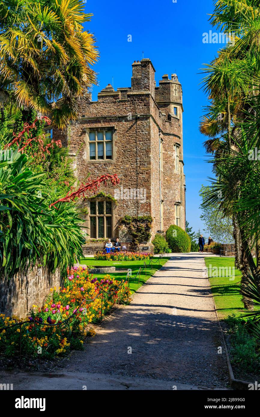 Una collezione colorata di bulbi e fiori primaverili sulla South Terrace al Dunster Castle, Somerset, Inghilterra, Regno Unito Foto Stock