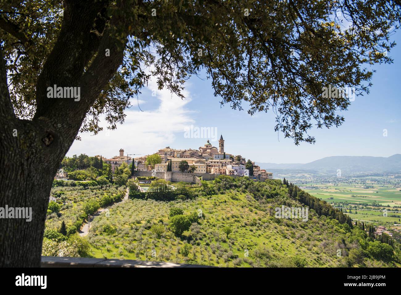 Trevi, Perugia, Umbria. Italia. Cartolina panoramica di Trevi, un piccolo paese circondato da uliveti nella campagna umbra Foto Stock