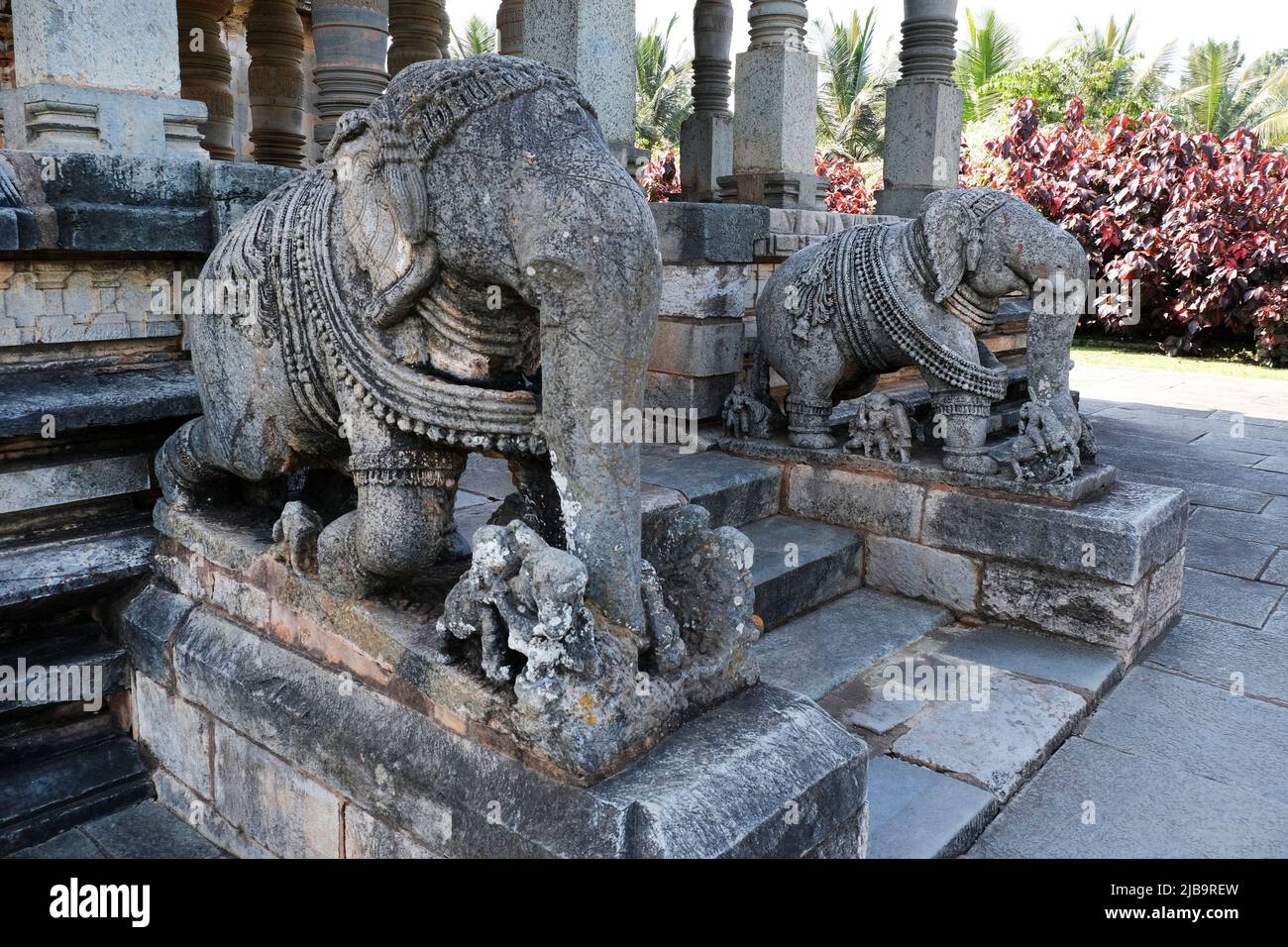 Bella Basadi Halli Jain Vijaya Adinatha Tempio, vicino Hoysaleswara tempio, Halebidu, Hassan, Karnataka, India Foto Stock