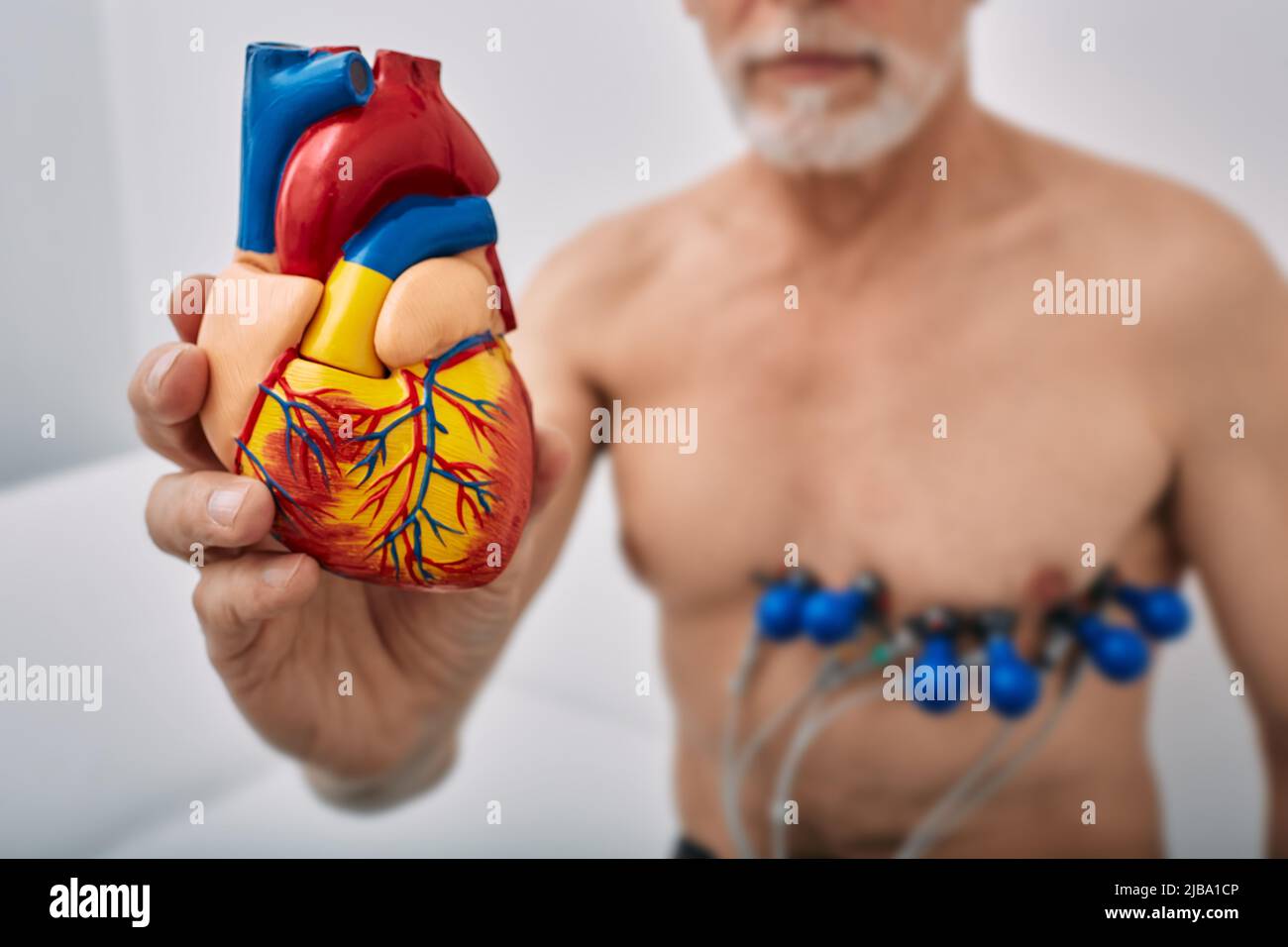 Uomo anziano durante il test cardiaco con sensori che tengono in mano il modello anatomico del cuore umano davanti al suo. Concetto di salute del cuore, esami cardiaci, cardio Foto Stock