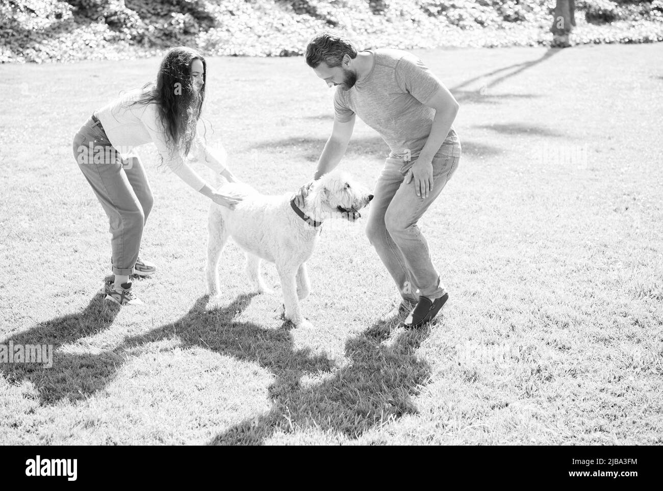 giovane coppia innamorata di un parco verde. famiglia accogliente con animali domestici che si divertono. Foto Stock