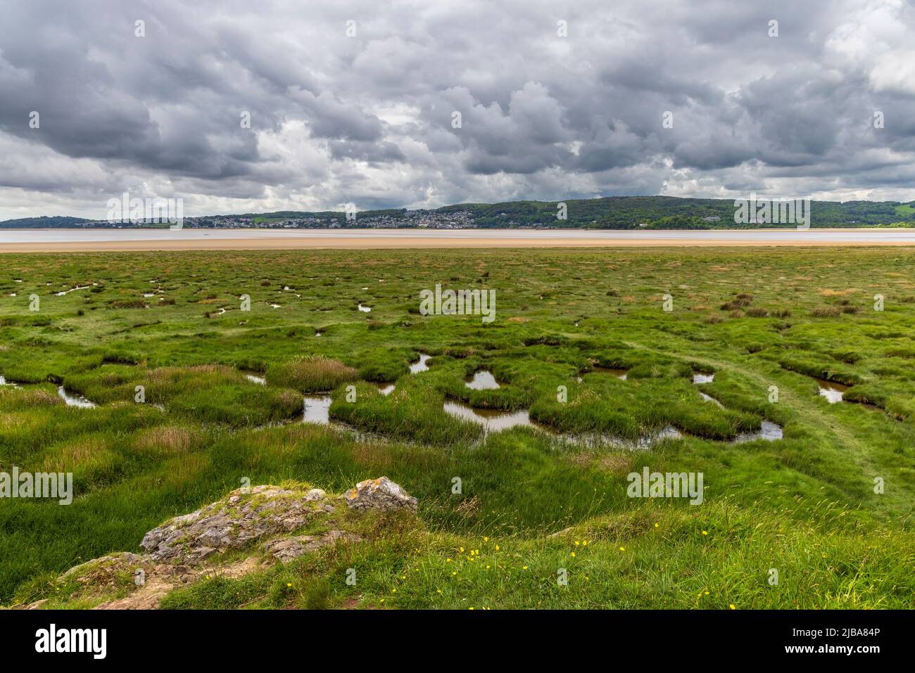 Il saltmarsh di White Creek sul canale del Kent vicino a Arnside Park con Grange-over-Sands in lontananza, Lancashire, Inghilterra Foto Stock