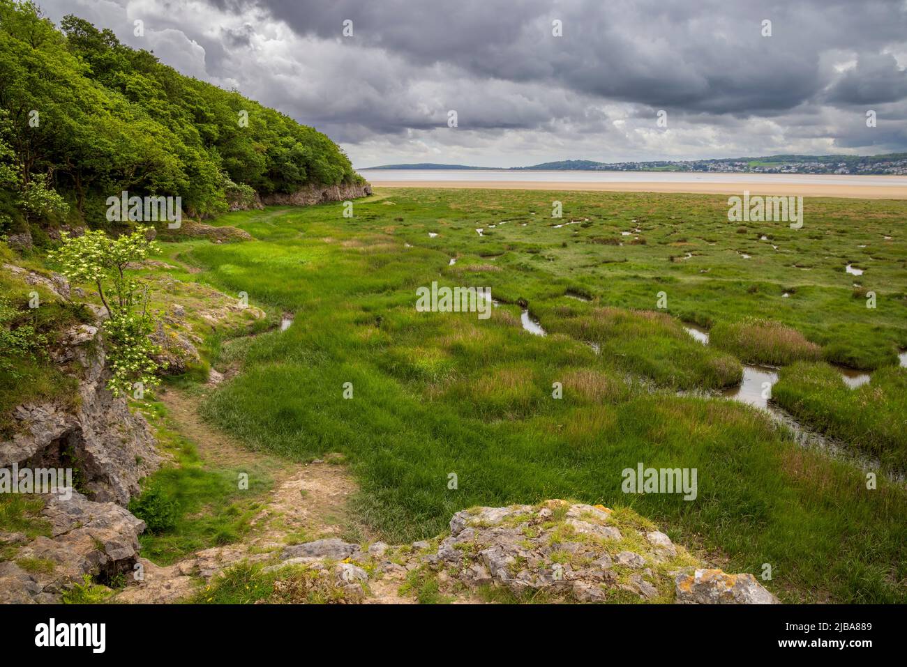 Guardando a sud verso Arnside Point e la salmastra di White Creek sul canale del Kent vicino a Arnside Park, Lancashire, Inghilterra Foto Stock