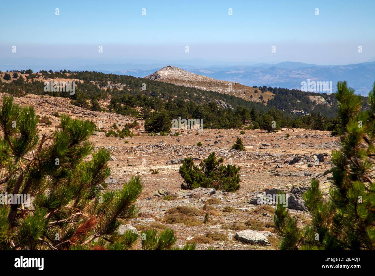 Ida Mountain-Kaz Daglari In Turchia. (In turco: Kazdagi, che significa montagna dell'oca), Turchia. Bella natura..Ida montagna ha piante endemiche e alberi Foto Stock