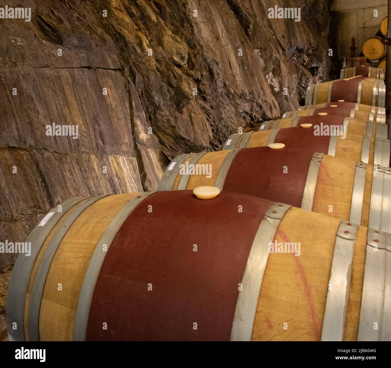Botti di vino per la produzione di vino Porto Valle del Douro Portogallo Foto Stock