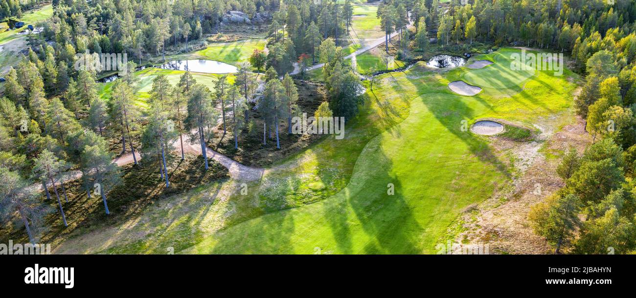 Vista panoramica aerea sul campo da golf nella foresta settentrionale. Le persone non identificate giocano a piedi per cambiare campo da golf, alberi di pino intorno. Caldo giorno di sole eccelle Foto Stock