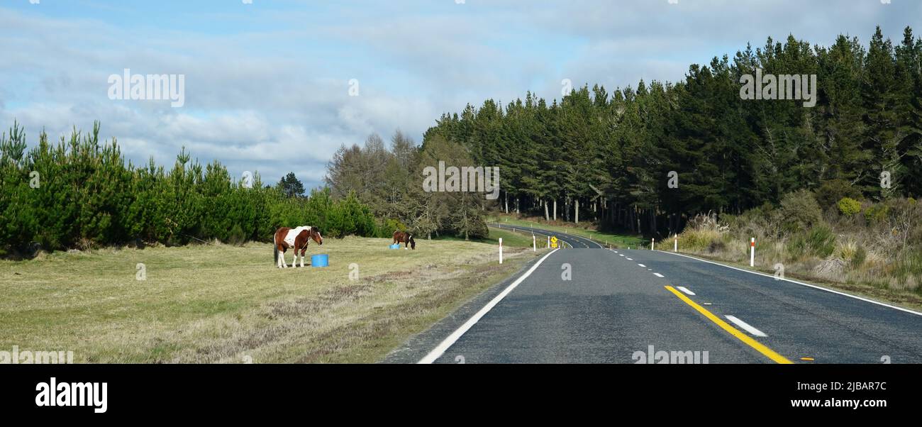La Volcanic Loop Highway, una strada panoramica attraverso il Parco Nazionale di Tongariro, Nuova Zelanda Foto Stock