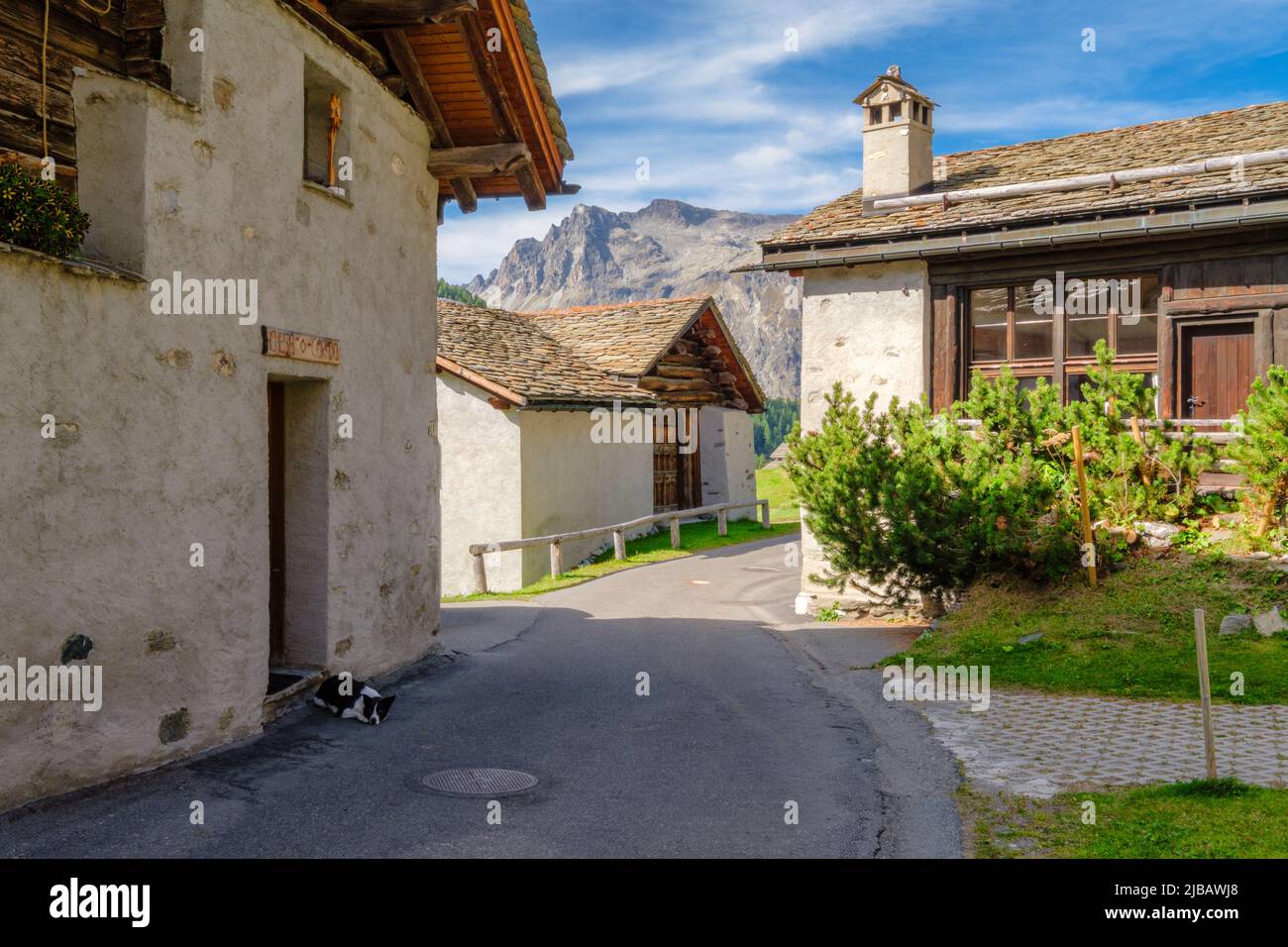 Val Fex, Svizzera - 25 settembre 2021: Un cane di fronte a una casa in pietra nella Valle della Fex (Engadina, Svizzera) Foto Stock