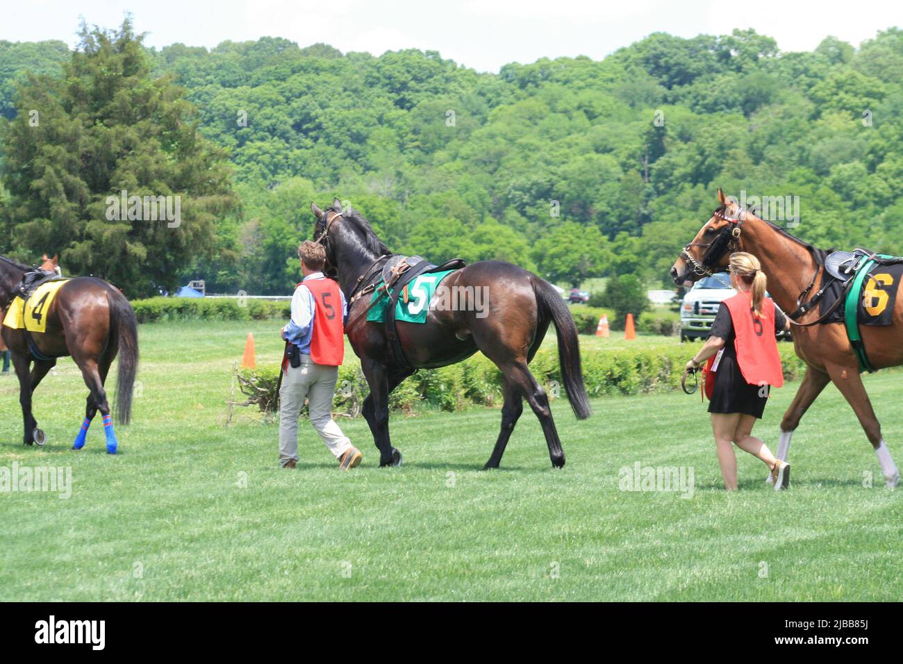 Iroquois Steeplechase 2022 al Percy Warner Park, Franklin, Tennessee, USA. Foto Stock