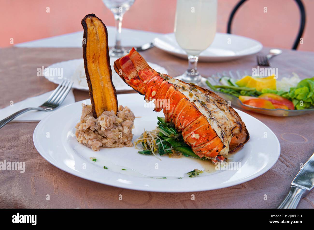 Cena romantica di lusso a lume di candela con piatto di aragosta e barbecue a base di pesce. Cena costosa in un ricco primo piano turistico. Foto Stock