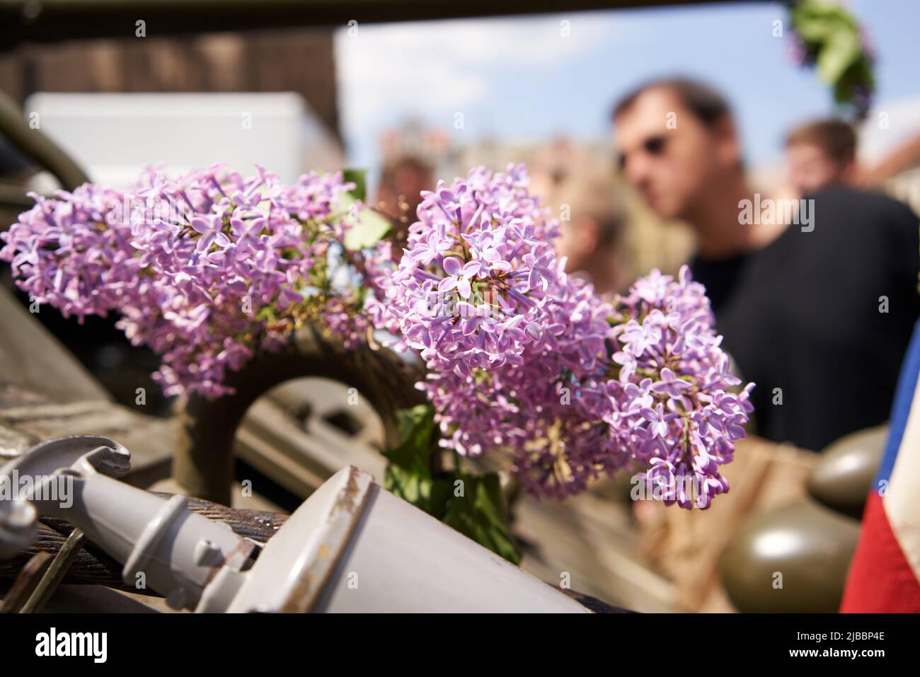 Fiori di lilla viola su un veicolo armato americano d'epoca - celebrazione della liberazione di Pilsen, Czechia da parte dell'esercito degli Stati Uniti Foto Stock