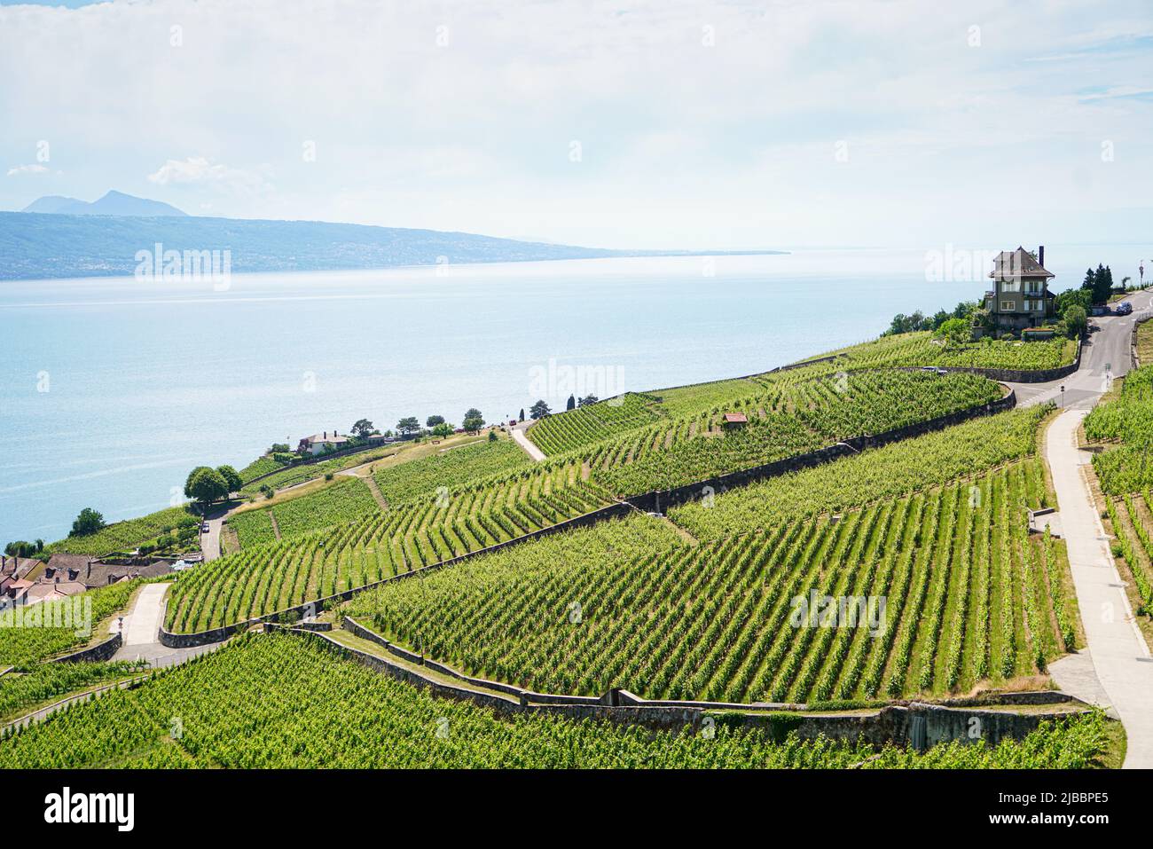 Lavaux, con le sue terrazze coperte di vigneti affacciate sul lago di Ginevra, è una delle regioni viticole più note e affascinanti della Svizzera Foto Stock