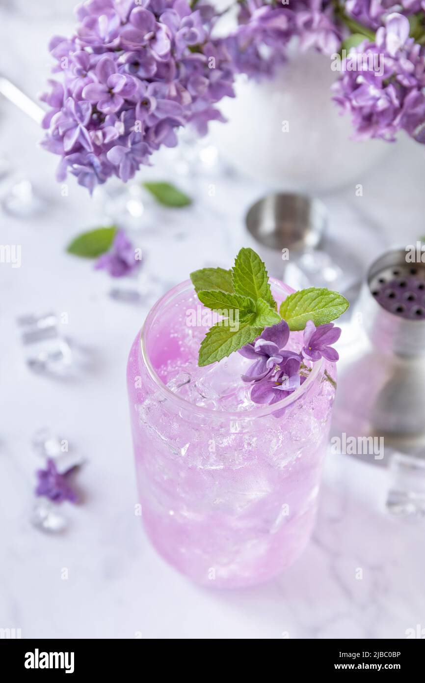 Bevanda lilla, bevanda infusa da fiori lilla. Cocktail o mocktail naturale  biologico di daikiri, limonata lilla con ghiaccio su un tavolo di marmo  Foto stock - Alamy