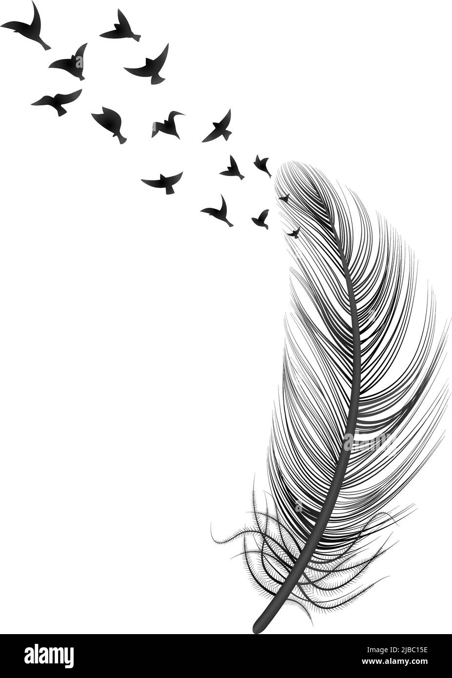 Realisticamente l'illustrazione dell'uccello della piuma concetto astratto con la piuma grande ed il gregge degli uccelli sull'illustrazione vettoriale superiore Illustrazione Vettoriale