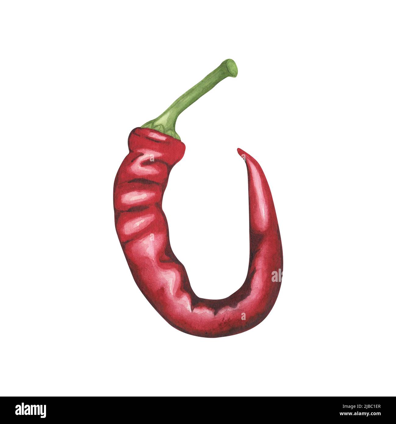 Peperoncino acquerello illustrazione vegetariano fresco paprika calda cialda per la cottura isolato su sfondo bianco. Arte per design, tessuti, menu, poster Foto Stock